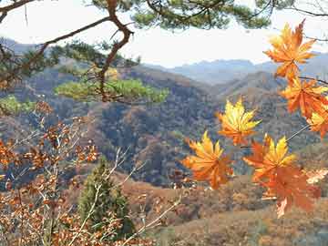 pg电子官方地址(网址：733.cz)